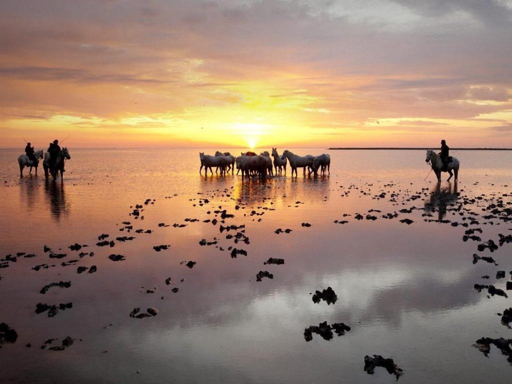 โรงแรม เลอ โดแฟ็ง เบลอ แซ็งต์-มารี-เดอ-ลา-แมร์ ภายนอก รูปภาพ